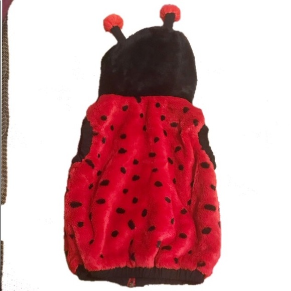 Sold!12-24 mo Baby/Toddler Ladybug Costume 🐞 - Picture 2 of 3